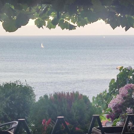 Villa Malezan Ohrid Buitenkant foto