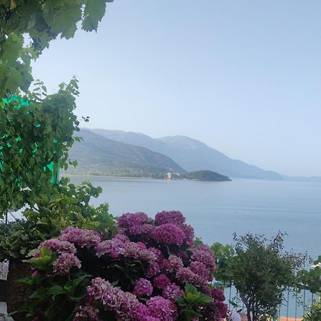 Villa Malezan Ohrid Buitenkant foto
