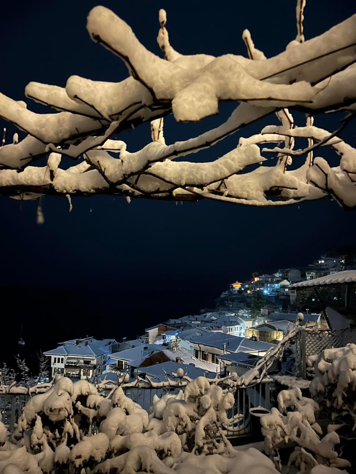 Villa Malezan Ohrid Buitenkant foto