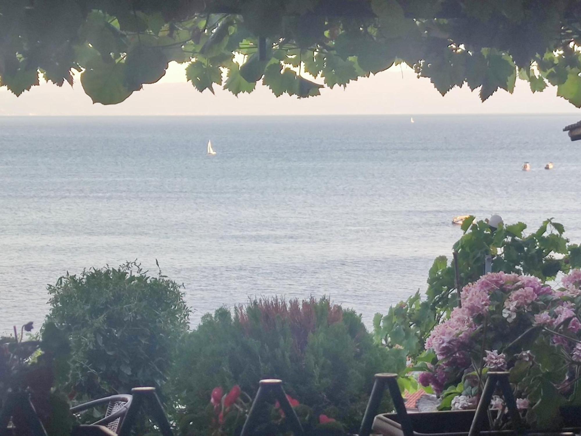 Villa Malezan Ohrid Buitenkant foto