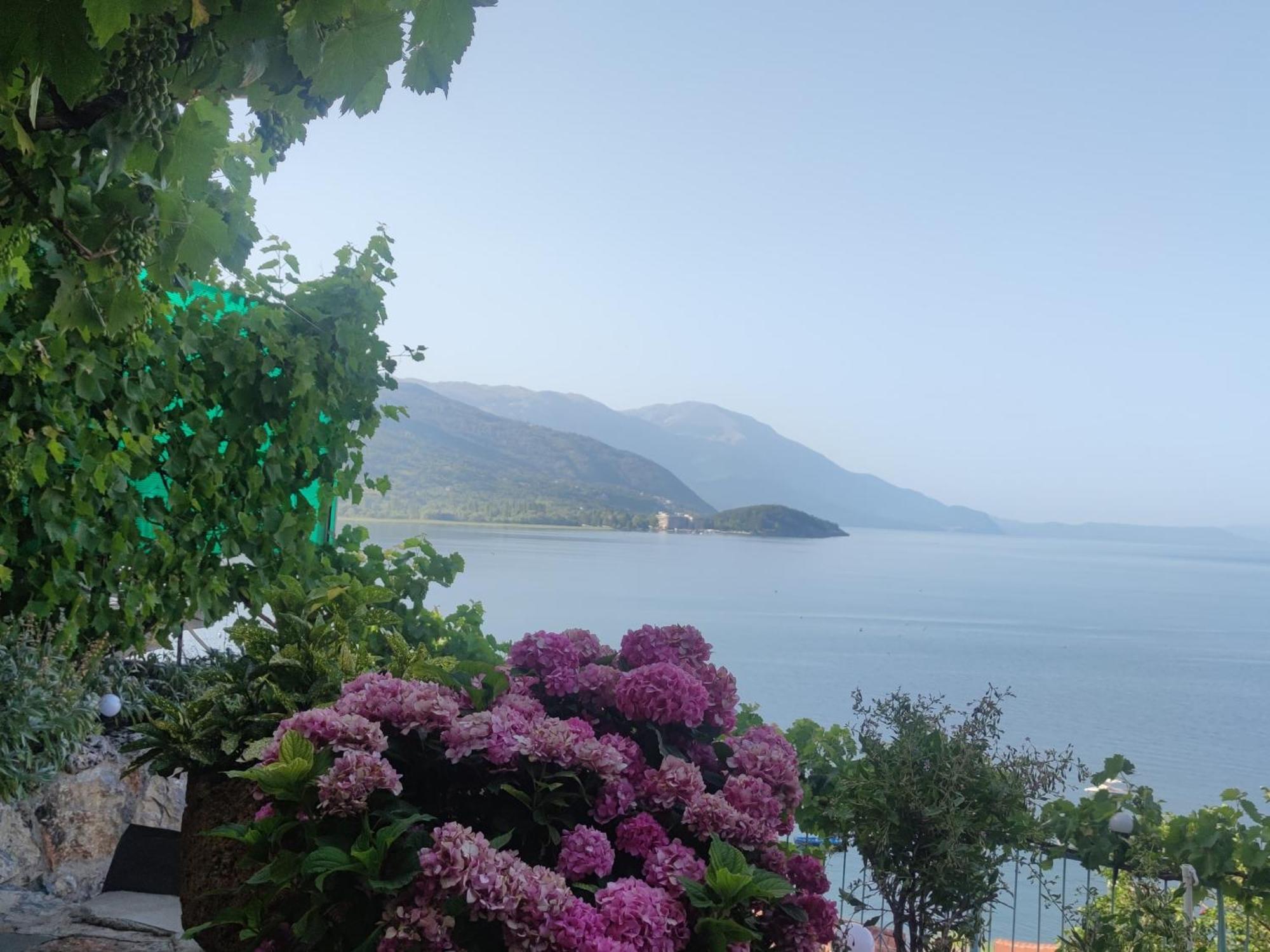 Villa Malezan Ohrid Buitenkant foto