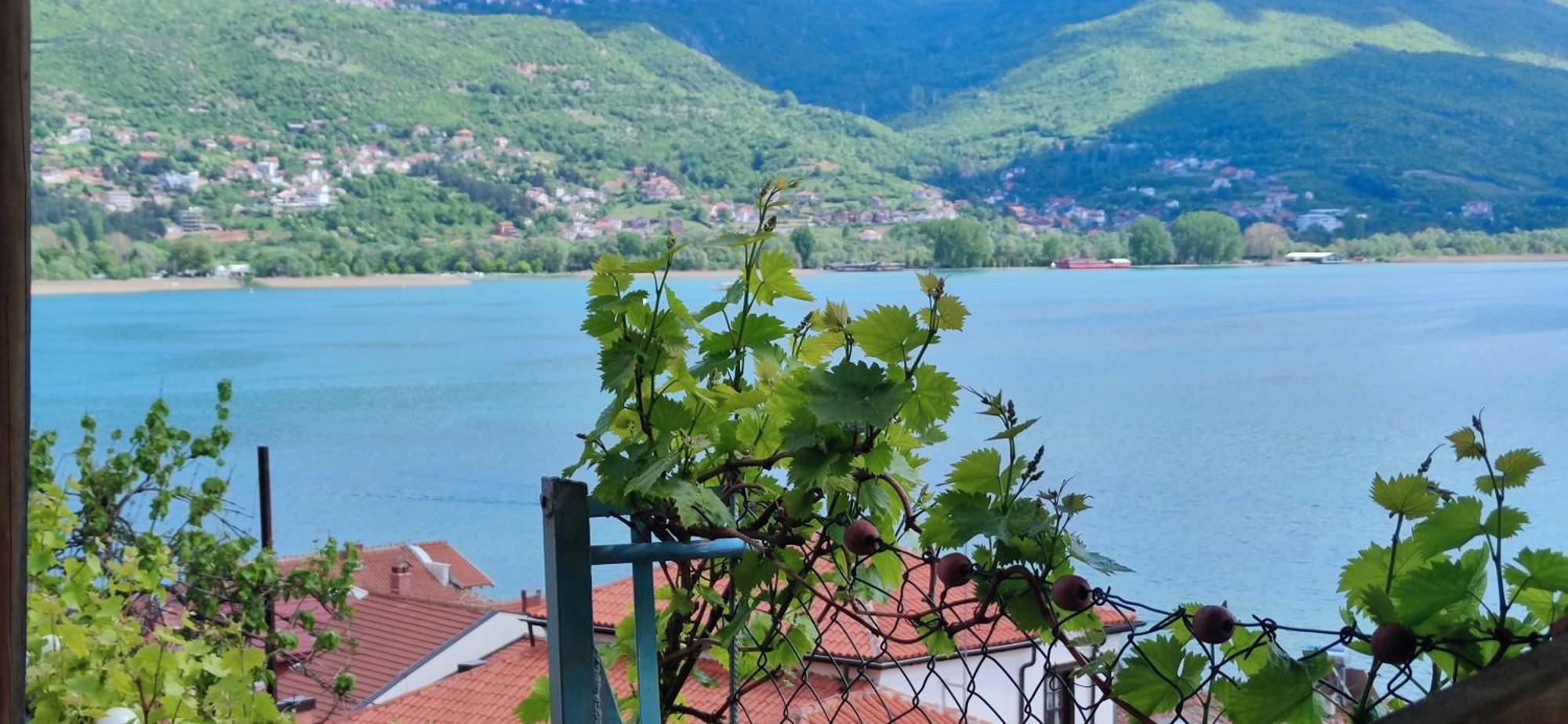 Villa Malezan Ohrid Buitenkant foto