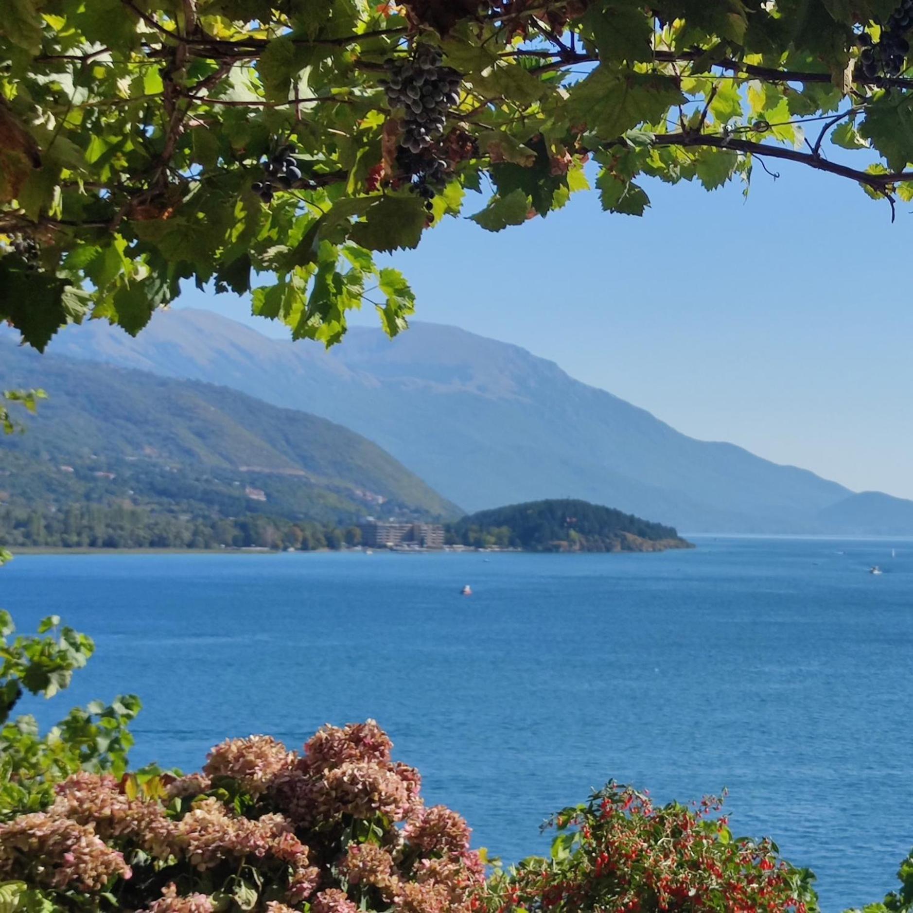 Villa Malezan Ohrid Buitenkant foto